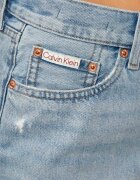 Calvin Klein Jeans De blugi pantaloni scurți 90S | regular fit