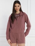 Calvin Klein Performance Geacă | Regular Fit