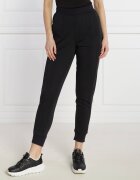 Calvin Klein Performance Pantaloni de trening | Regular Fit