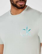 Calvin Klein Tricou | Regular Fit