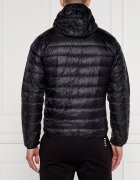 EA7 De puf geacă | Regular Fit