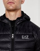 EA7 De puf geacă | Regular Fit