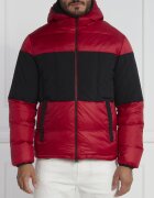 EA7 De puf geacă | Regular Fit