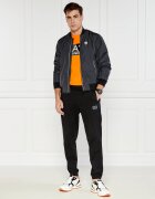 EA7 Geacă bomber | Regular Fit