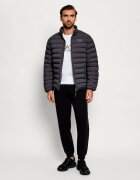 EA7 Geacă | regular fit