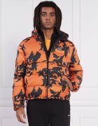 EA7 Geacă | Regular Fit