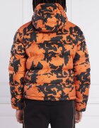EA7 Geacă | Regular Fit