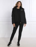 EA7 Geacă | Regular Fit