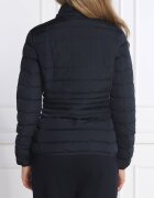 EA7 Geacă | Regular Fit