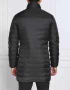 EA7 Geacă | Regular Fit