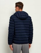 EA7 Geacă | regular fit
