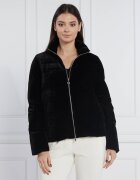 EA7 Geacă | Regular Fit