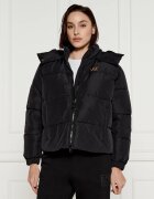 EA7 Geacă | Regular Fit