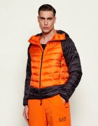 EA7 Geacă | regular fit