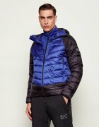 EA7 Geacă | regular fit
