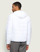EA7 Geacă | regular fit