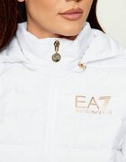 EA7 Geacă | Regular Fit