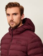 EA7 Geacă | regular fit