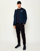 EA7 Geacă | Regular Fit