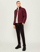 EA7 Geacă | regular fit
