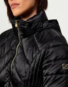 EA7 Geacă | regular fit