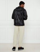 EA7 Geacă | Regular Fit
