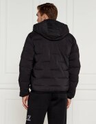 EA7 Geacă | Regular Fit