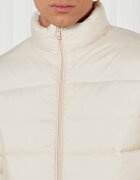 EA7 Geacă | Regular Fit