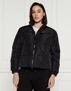 EA7 Geacă | Regular Fit