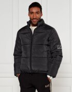 EA7 Geacă | Regular Fit