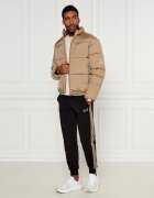 EA7 Geacă | Regular Fit