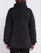 EA7 Geacă | Regular Fit