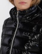 EA7 Geacă | Regular Fit