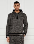 EA7 Hanorac | Regular Fit