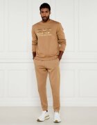 EA7 Hanorac | Regular Fit