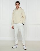 EA7 Hanorac | Regular Fit