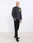 EA7 Hanorac | Regular Fit