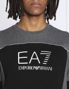 EA7 Hanorac | Regular Fit