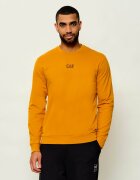 EA7 Hanorac | regular fit