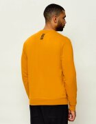 EA7 Hanorac | regular fit