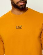 EA7 Hanorac | regular fit