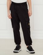 EA7 Pantaloni cargo | Regular Fit