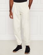 EA7 Pantaloni de trening | Modern fit