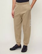 EA7 Pantaloni de trening | Modern fit