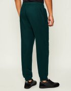 EA7 Pantaloni de trening | Modern fit