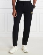 EA7 Pantaloni de trening | Regular Fit