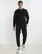 EA7 Pantaloni de trening | Regular Fit