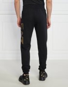 EA7 Pantaloni de trening | Regular Fit