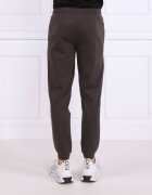EA7 Pantaloni de trening | Regular Fit