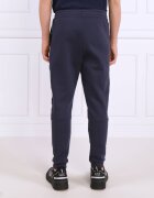 EA7 Pantaloni de trening | Regular Fit